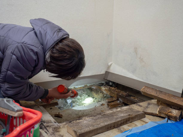 Biohazard Mold Removal in River Edge, NJ